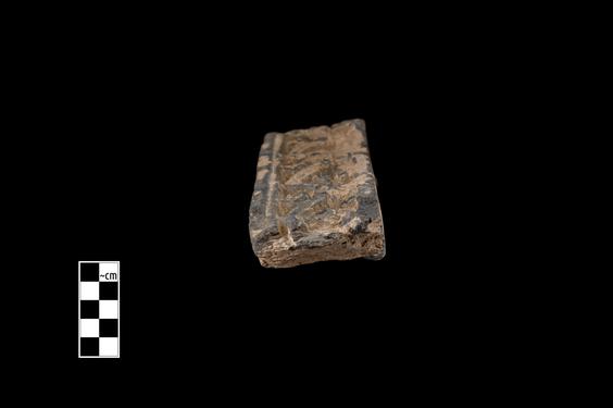 Image of Buddha and devotees