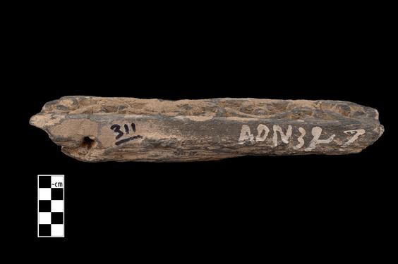 Image of Buddha and devotees