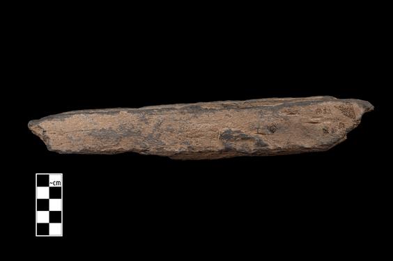 Image of Buddha and devotees