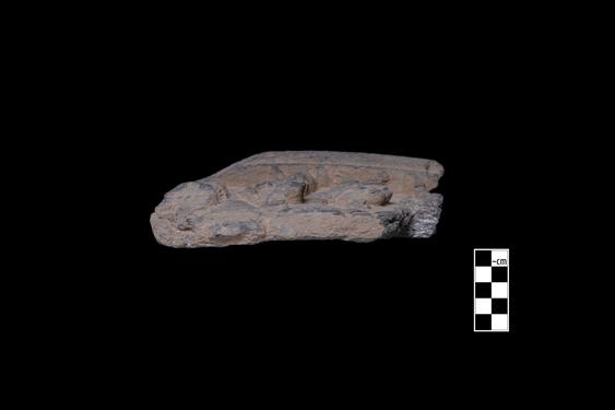 Image of Last Existence: Visit of the Ascetics