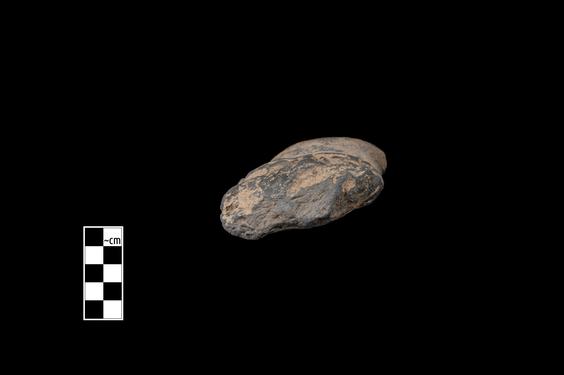 Image of Semi-column of the Gandharan-Corinthian type