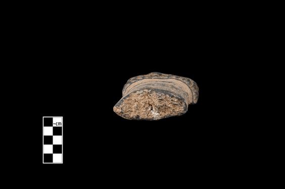 Image of Semi-column of the Gandharan-Corinthian type