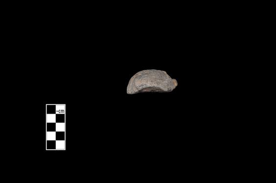 Image of Male figure