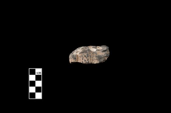 Image of Male figure