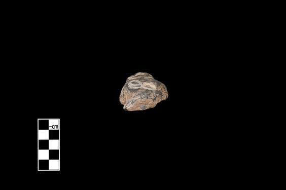 Image of Male figure