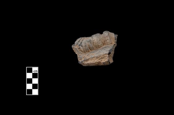 Image of Semi-column of the Gandharan-Persepolitan type