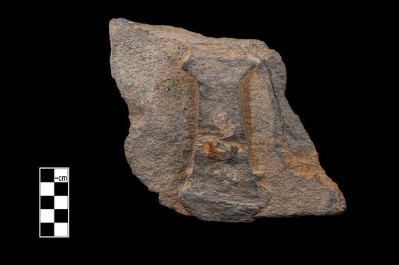 Image of Semi-column