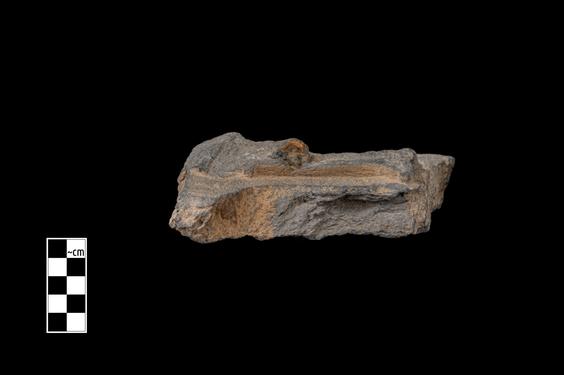 Image of Semi-column