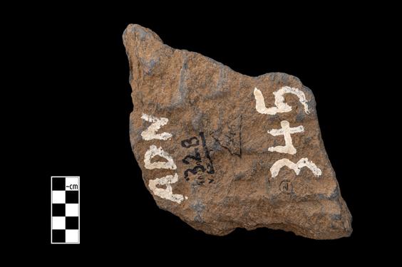 Image of Semi-column