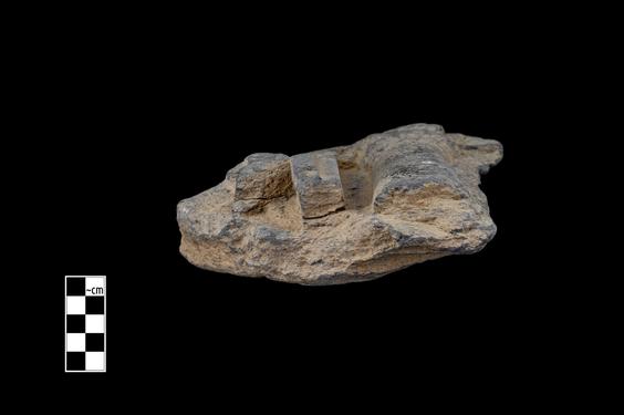 Image of Male figure