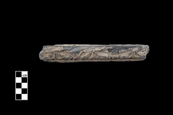 Image of Acanthus leaves