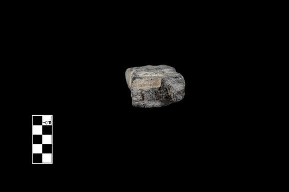 Image of Acanthus leaves