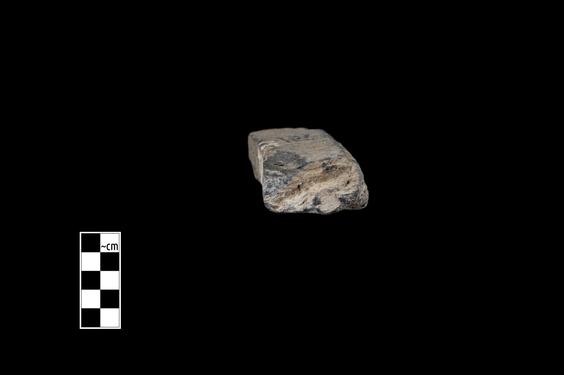 Image of Acanthus leaves