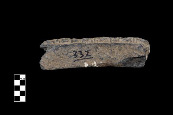 Image of Acanthus leaves