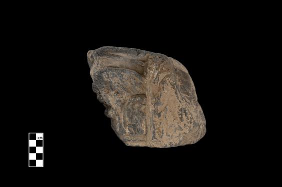 Image of Male donor (?)