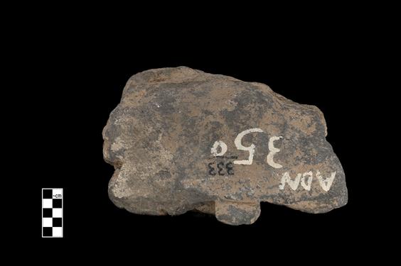 Image of Male donor (?)