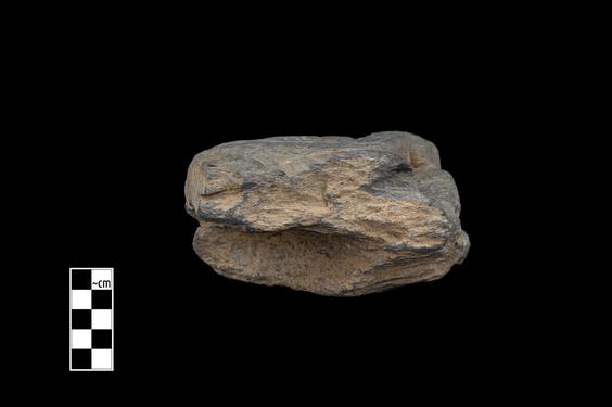 Image of Male figure