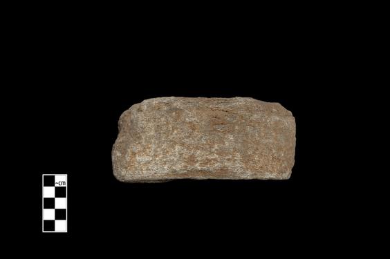 Image of Umbrella (?)