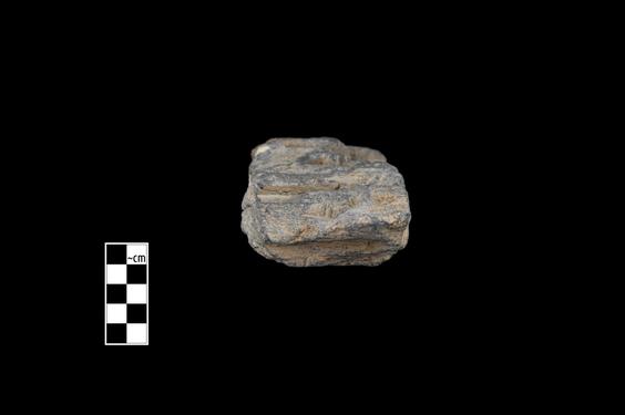 Image of Last Existence: Transportation of the Relics