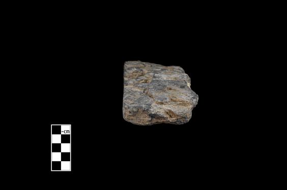 Image of Last Existence: Transportation of the Relics