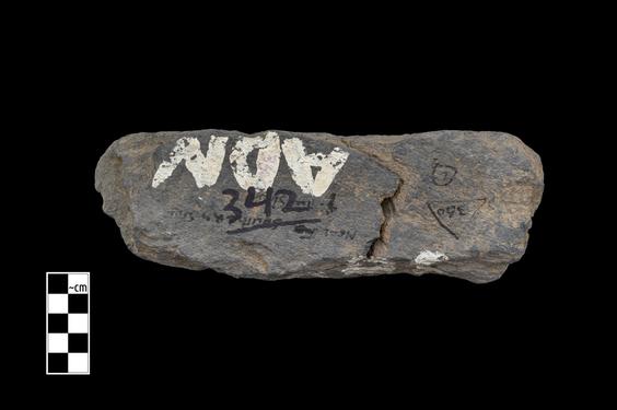 Image of Last Existence: Transportation of the Relics