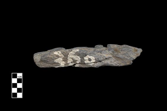 Image of Last Existence: Transportation of the Relics