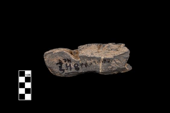 Image of Gandharan-Corinthian capital