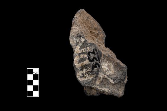 Image of Male figure