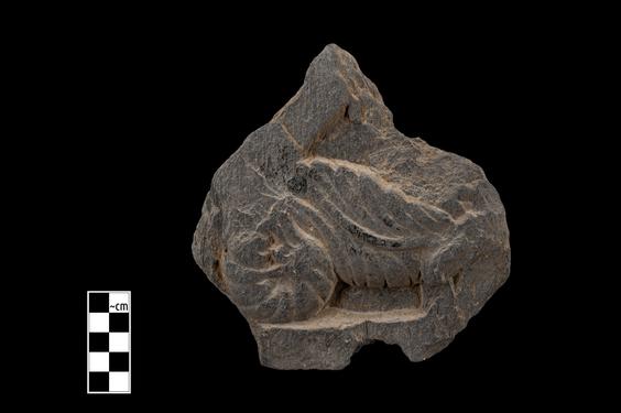 Image of Fantastic animal