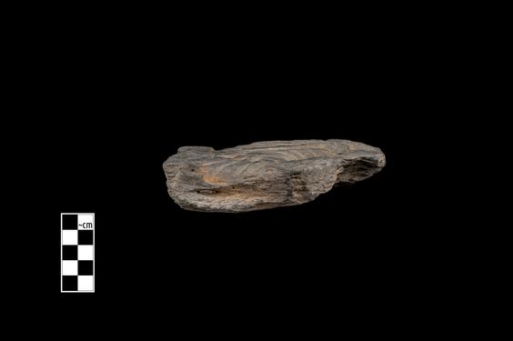 Image of Fantastic animal