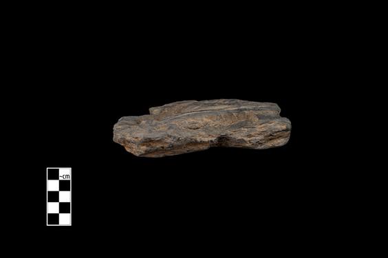 Image of Fantastic animal