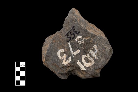 Image of Fantastic animal