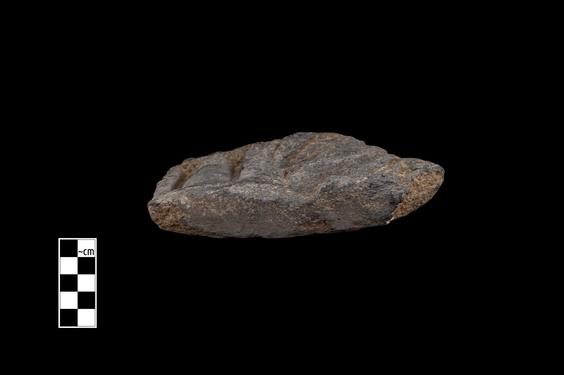 Image of Last Existence: Siddhārtha in school