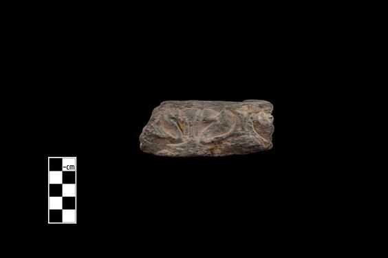 Image of Acanthus leaves