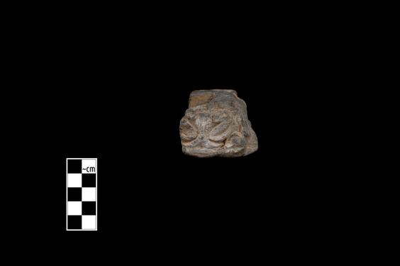 Image of Acanthus leaves