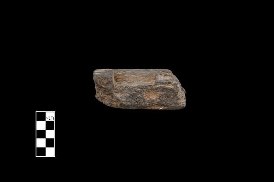 Image of Acanthus leaves