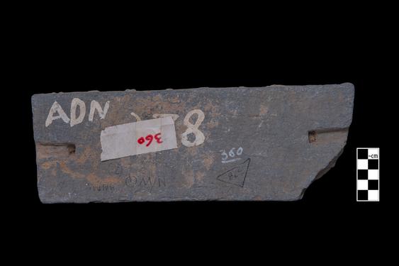 Image of Acanthus leaves