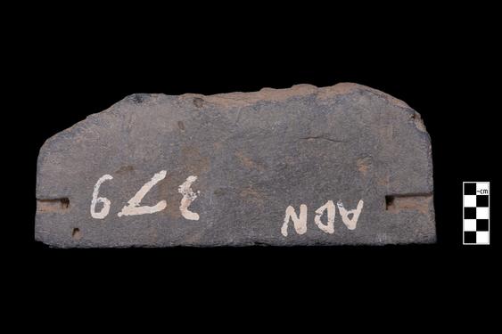 Image of Vine scroll