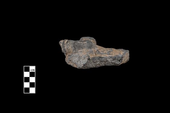 Image of Female devotee