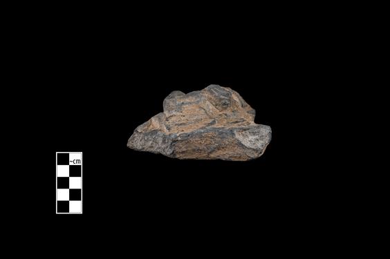 Image of Female devotee