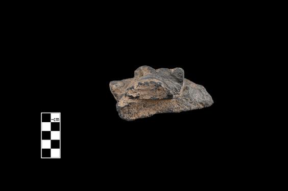 Image of Female devotee