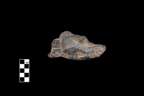 Image of Unidentified scene