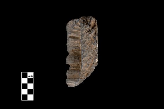 Image of Semi-column of the Gandharan-Persepolitan type