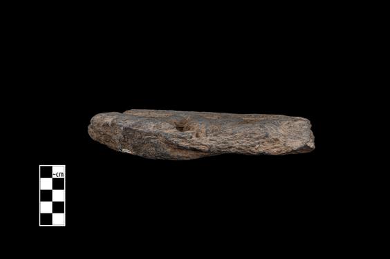 Image of Fantastic animal