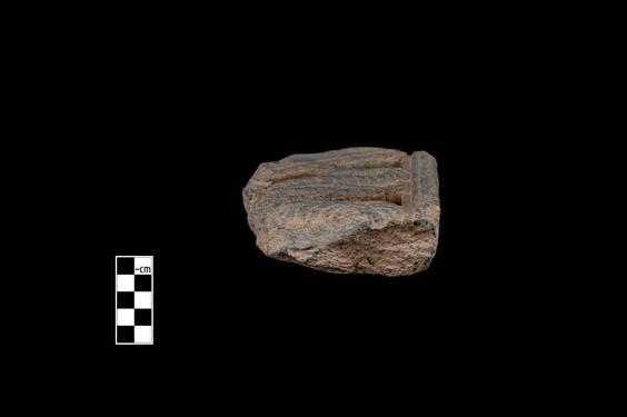 Image of Fantastic animal