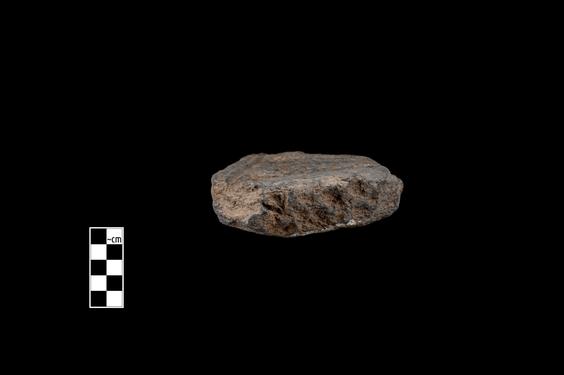 Image of Fantastic animal