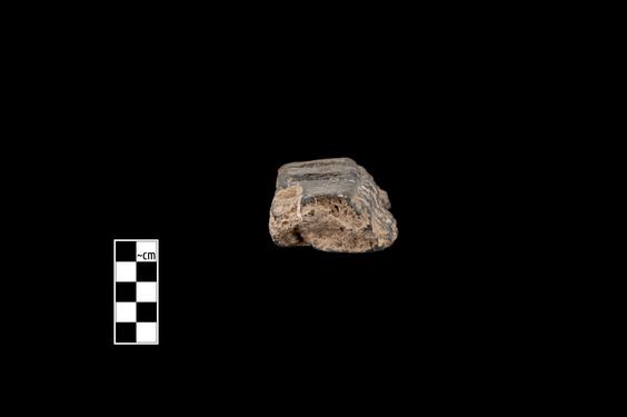 Image of Acanthus leaves