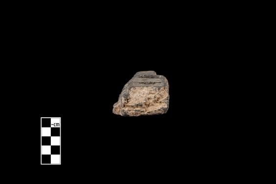 Image of Acanthus leaves