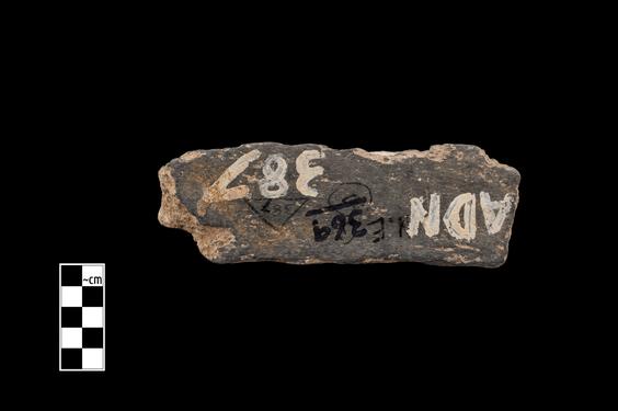 Image of Acanthus leaves