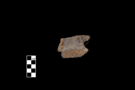 Image of Semi-column of the Gandharan-Corinthian type